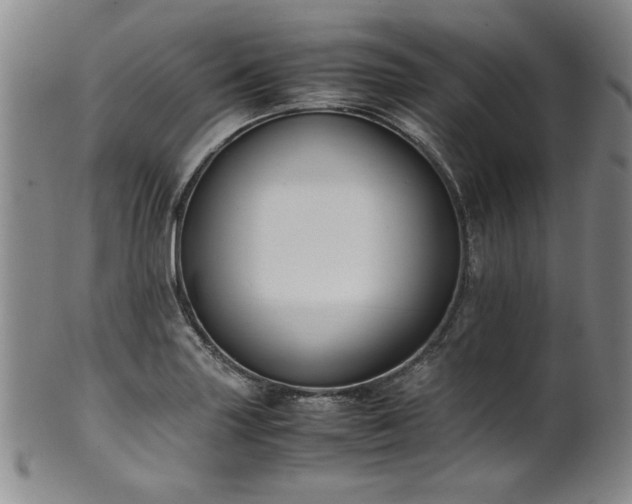 X0000102471227200808081242