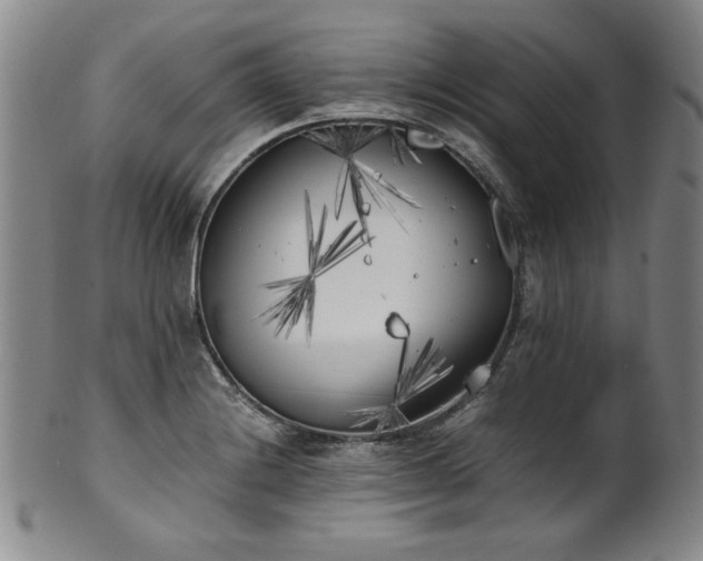X0000102471228200808081242