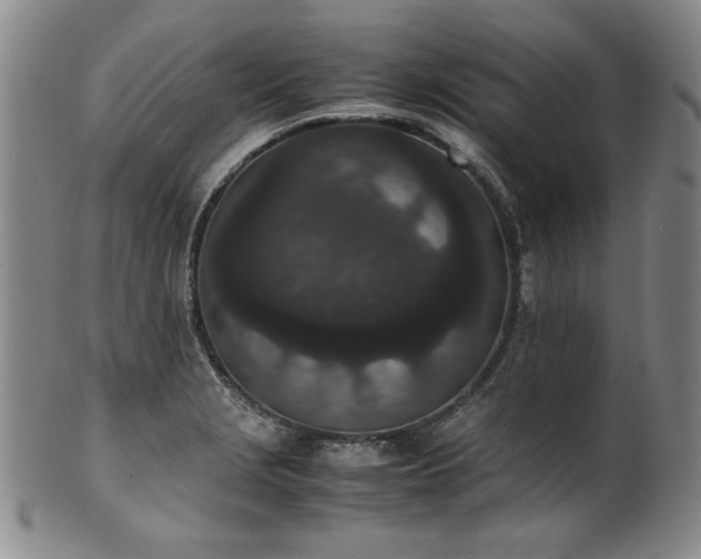 X0000102471229200808081242