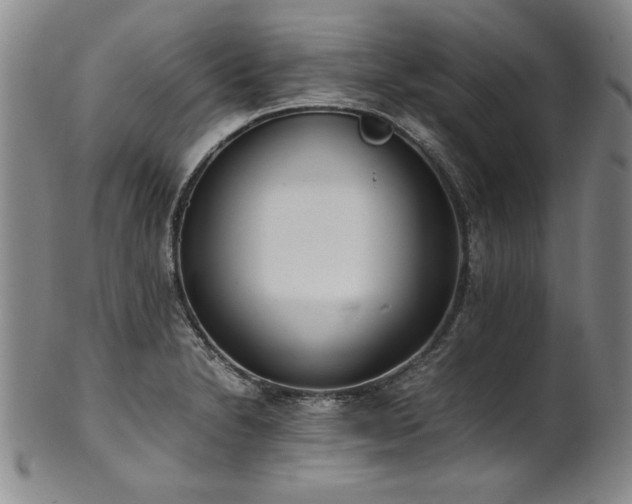 X0000102471230200808081242