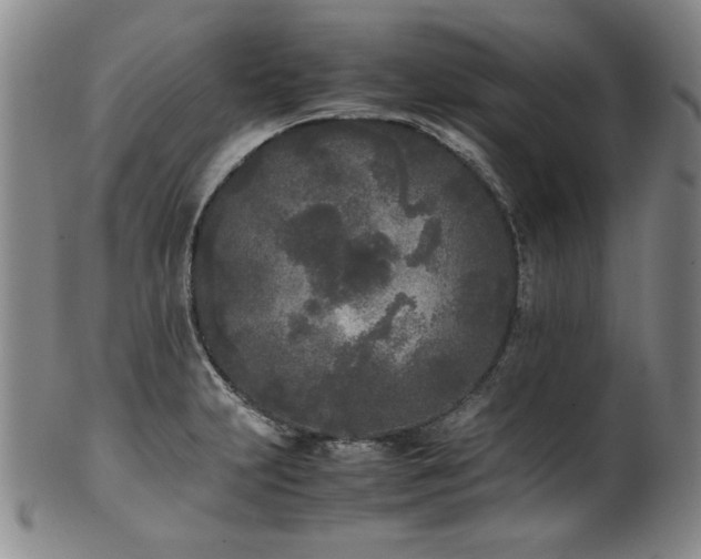 X0000102471231200808081242