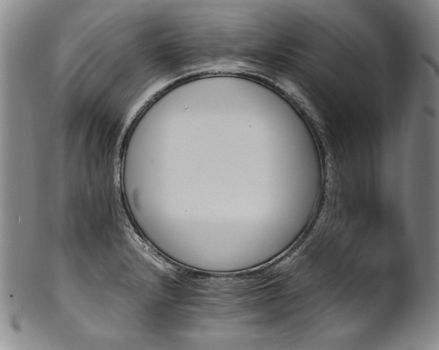 X0000102471232200808081242