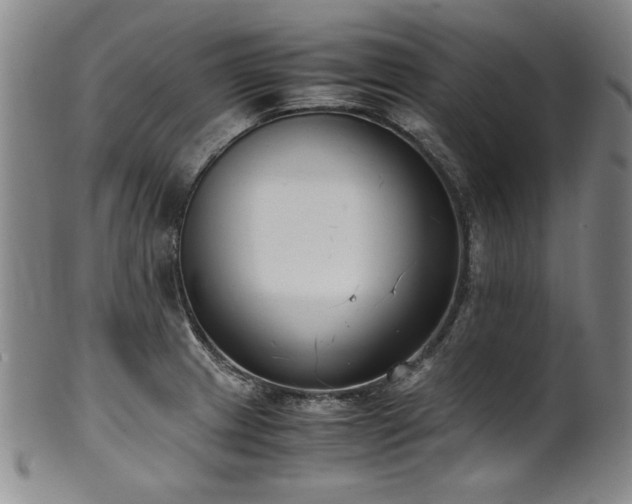 X0000102471233200808081242