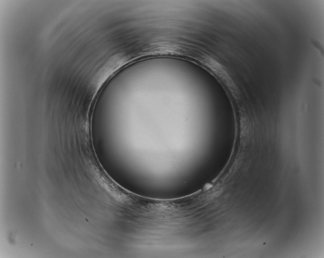 X0000102471234200808081242