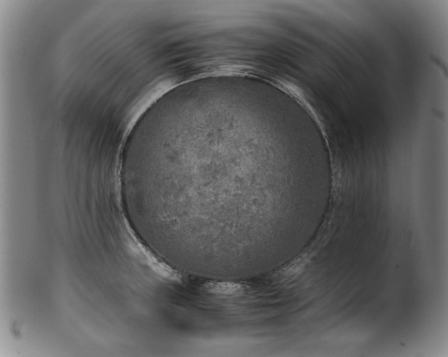 X0000102471235200808081242