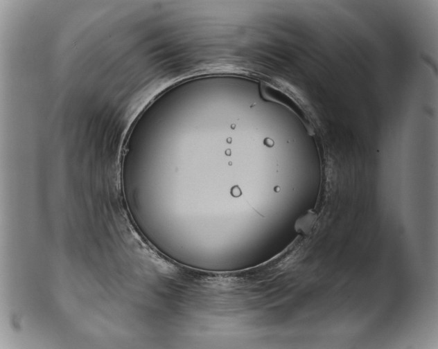 X0000102471236200808081242