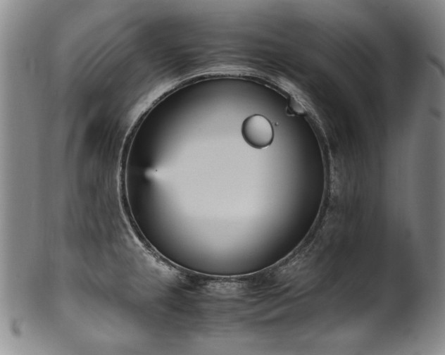 X0000102471237200808081242