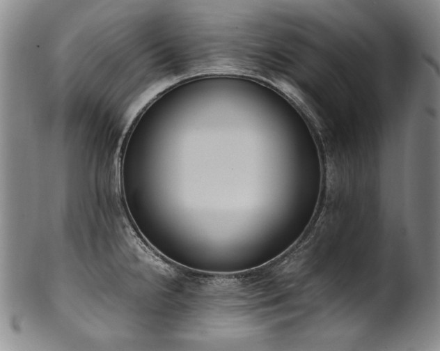 X0000102471238200808081242