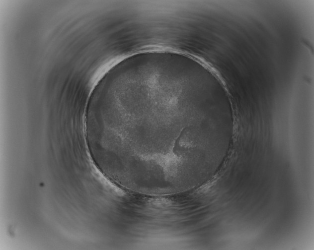 X0000102471239200808081242