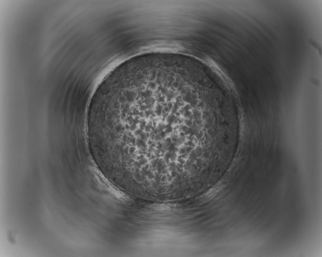 X0000102471240200808081242