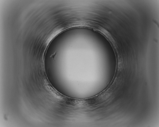X0000102471242200808081243