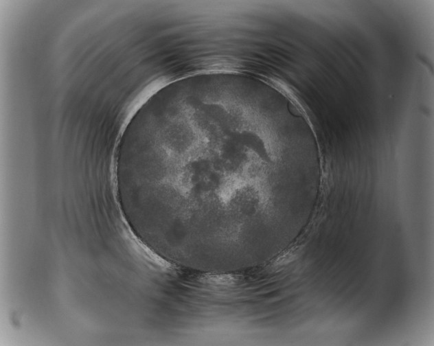X0000102471243200808081243
