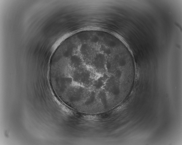 X0000102471245200808081243