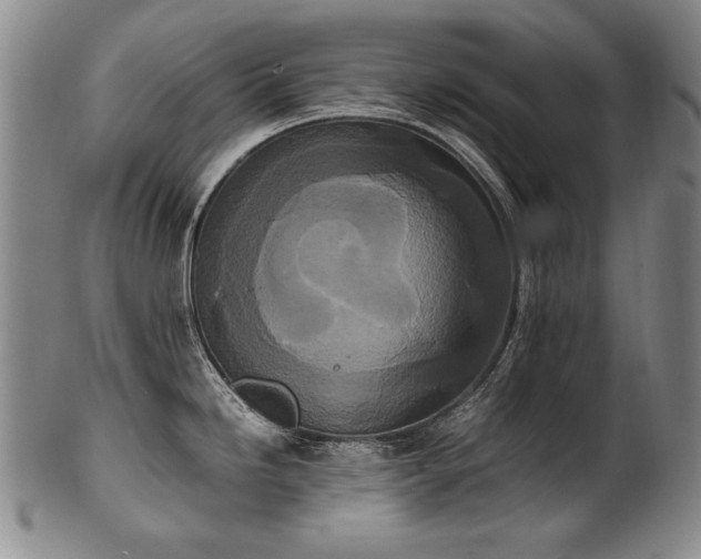 X0000102471246200808081243