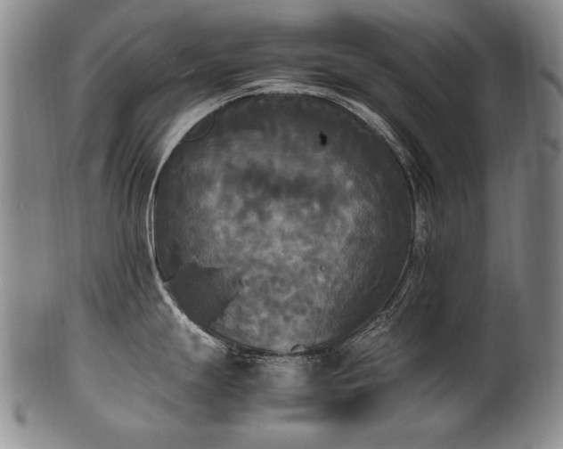 X0000102471247200808081243