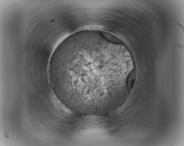 X0000102471248200808081243