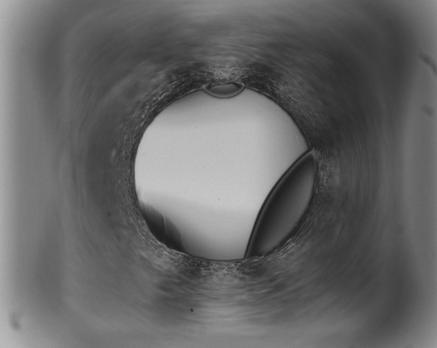 X0000102471249200808081242