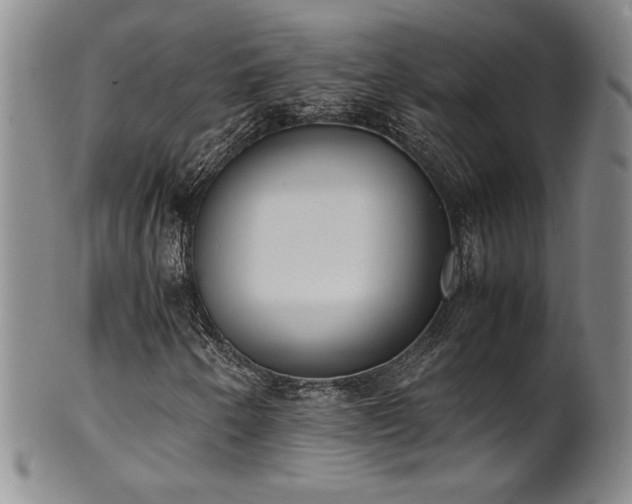 X0000102471250200808081242