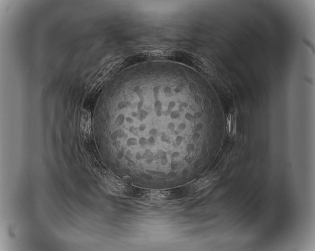 X0000102471251200808081242