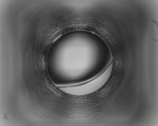 X0000102471252200808081242