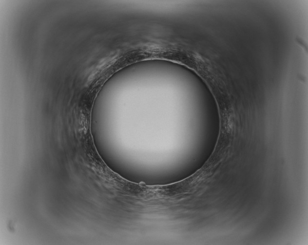 X0000102471253200808081242