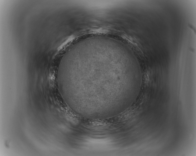 X0000102471254200808081242