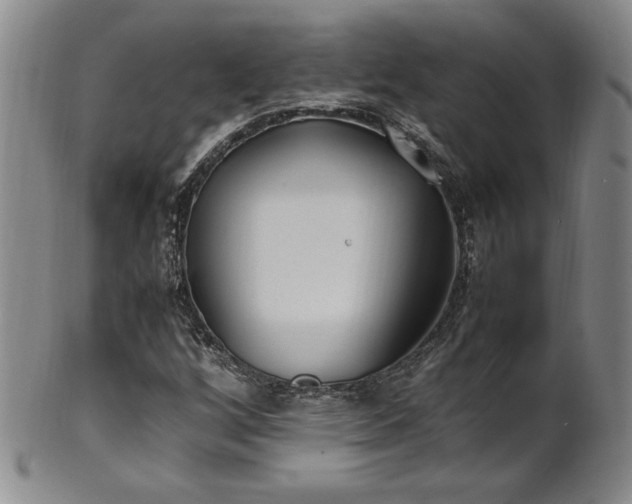 X0000102471256200808081242