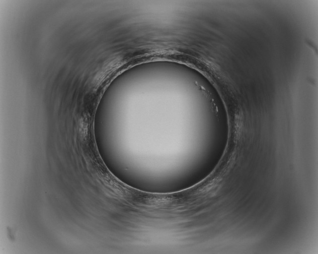 X0000102471257200808081242
