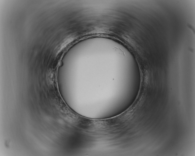X0000102471258200808081242