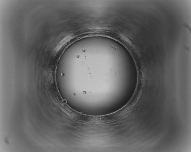 X0000102471259200808081242