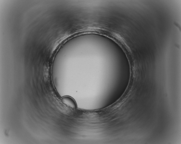 X0000102471260200808081242