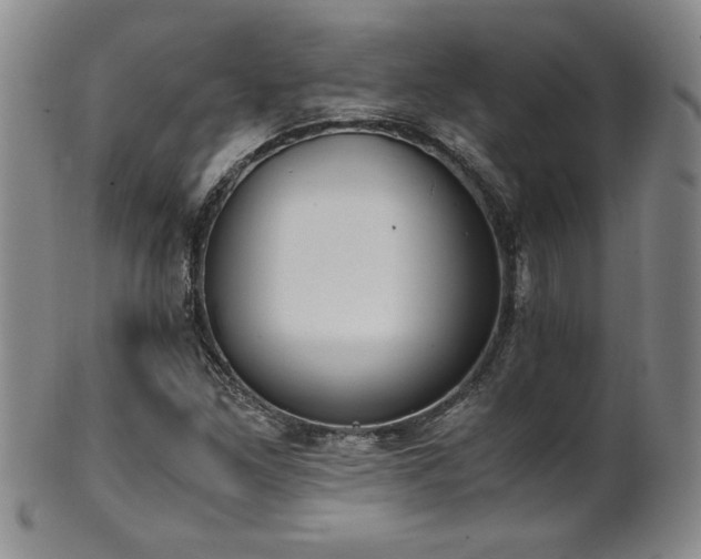 X0000102471261200808081242