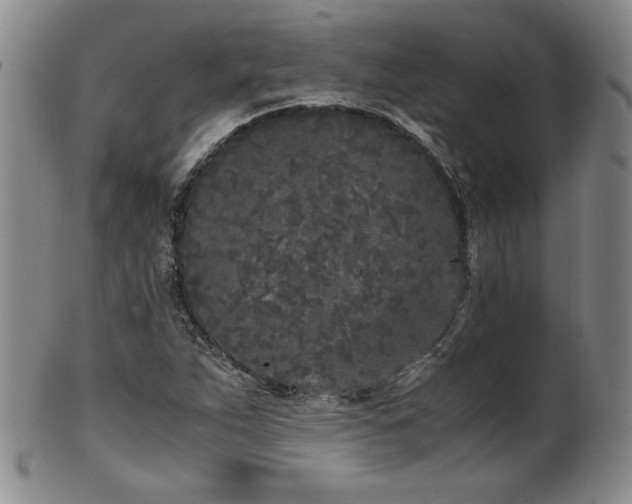 X0000102471263200808081242