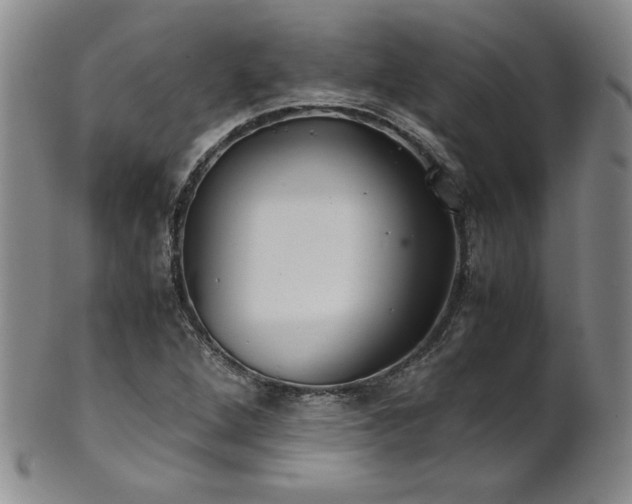 X0000102471264200808081242