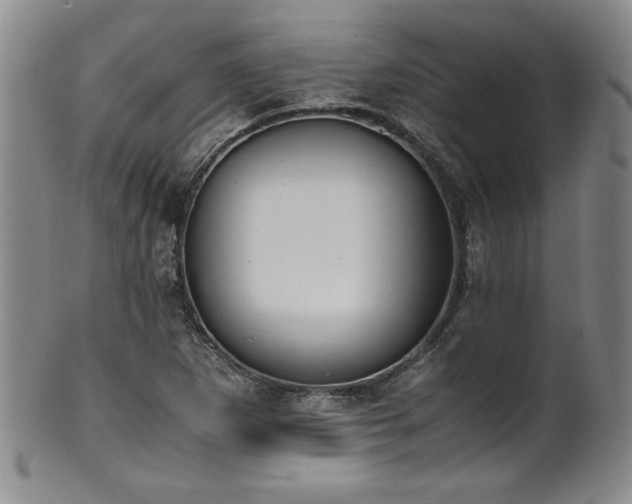 X0000102471265200808081242
