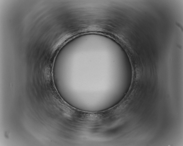 X0000102471266200808081242
