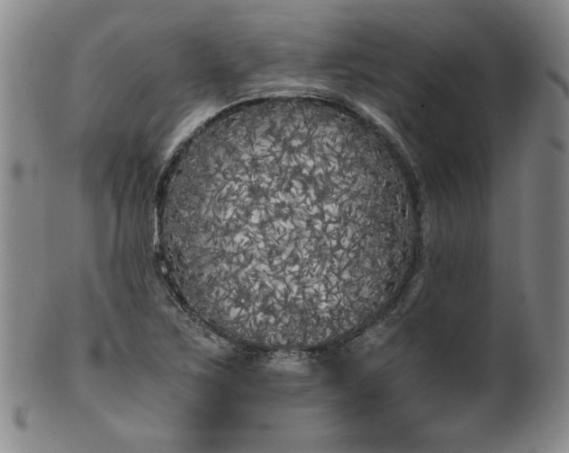 X0000102471267200808081242