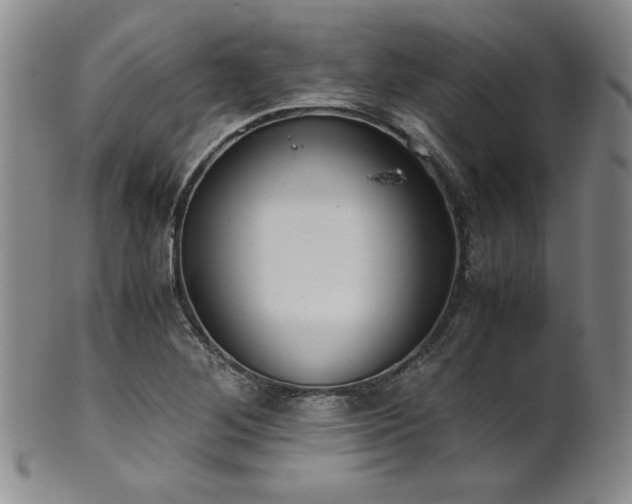 X0000102471268200808081242