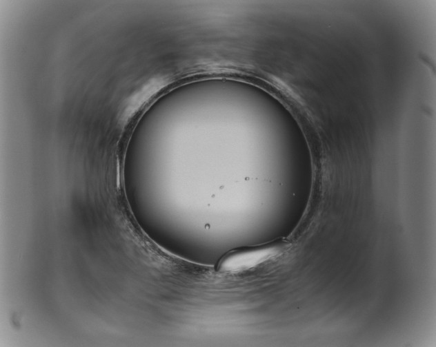 X0000102471269200808081242