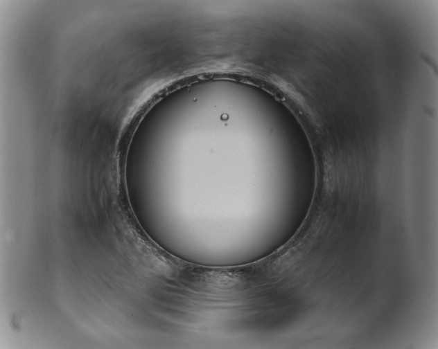 X0000102471270200808081242