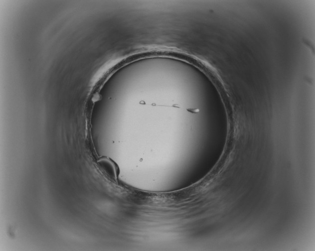 X0000102471271200808081242