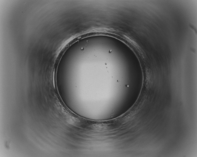 X0000102471272200808081242