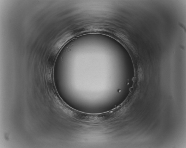 X0000102471273200808081241