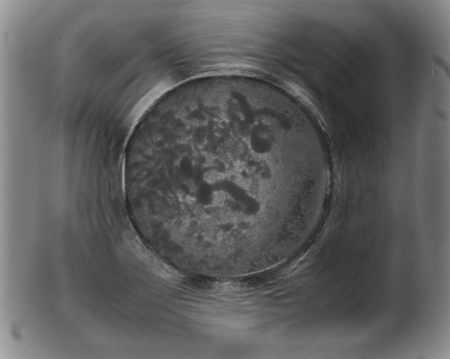 X0000102471275200808081241