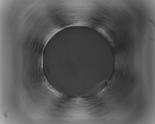X0000102471276200808081241