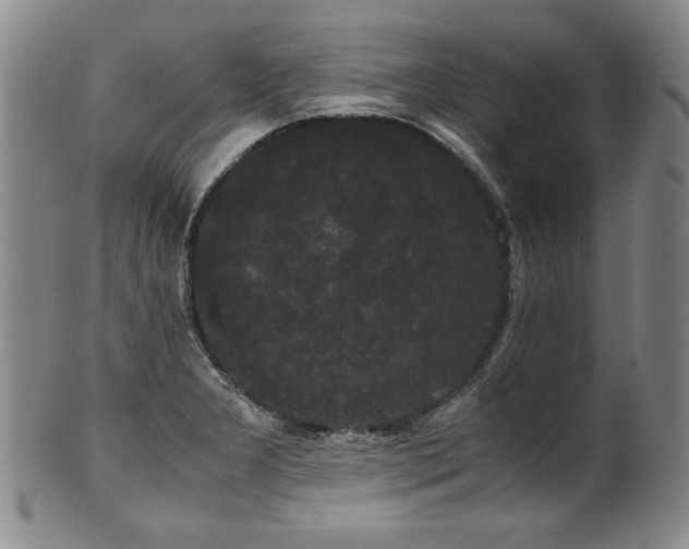 X0000102471277200808081241