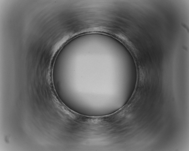 X0000102471278200808081241