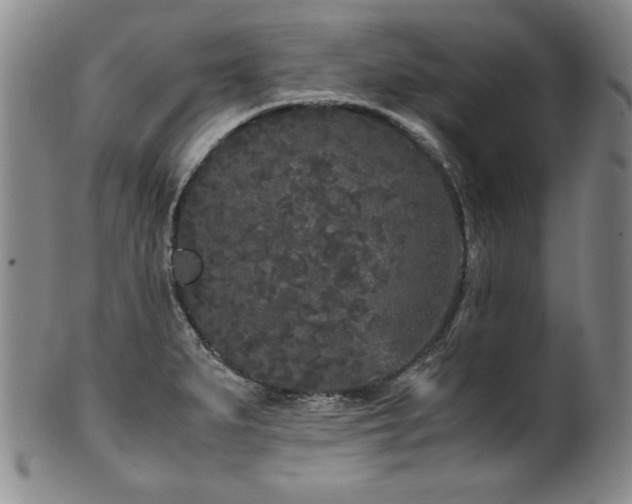 X0000102471279200808081241