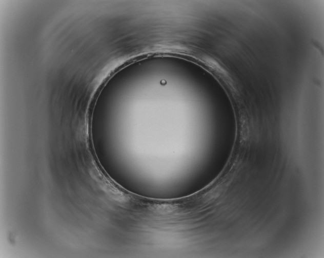 X0000102471280200808081241