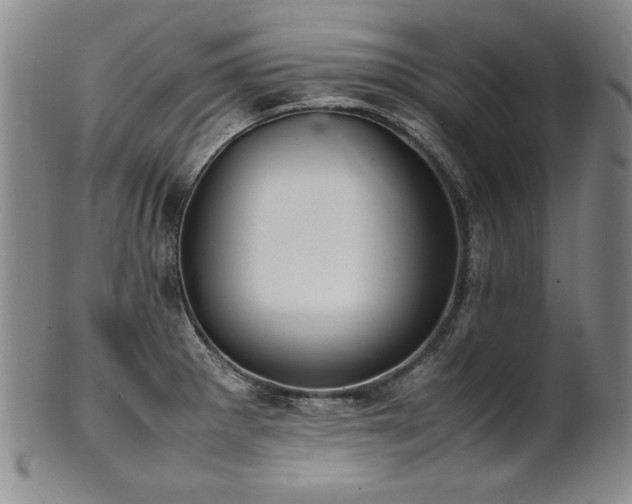 X0000102471281200808081241